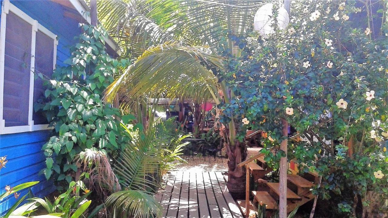 The Funky Dodo Backpackers Hostel Χόπκινς Εξωτερικό φωτογραφία