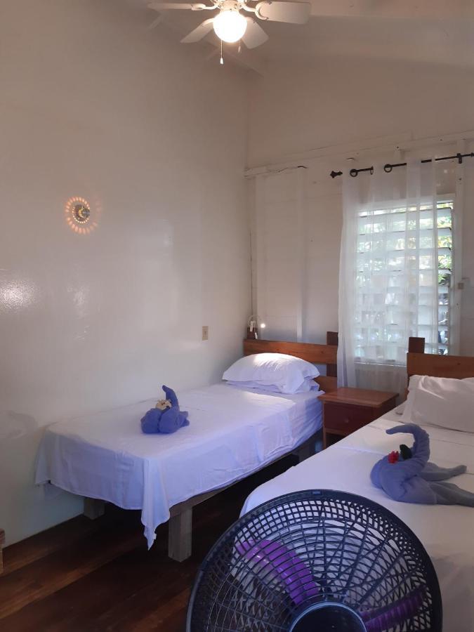 The Funky Dodo Backpackers Hostel Χόπκινς Εξωτερικό φωτογραφία