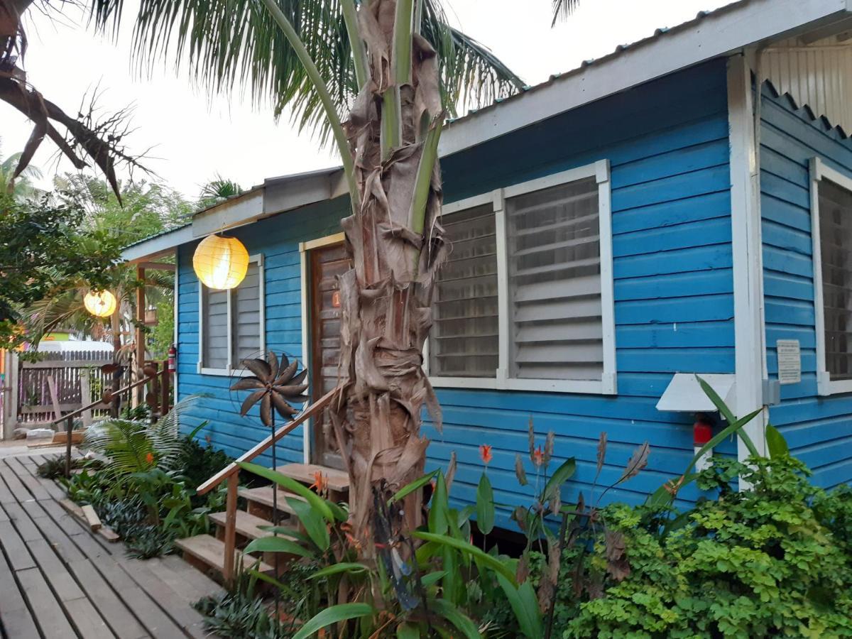 The Funky Dodo Backpackers Hostel Χόπκινς Εξωτερικό φωτογραφία