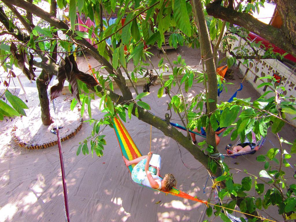 The Funky Dodo Backpackers Hostel Χόπκινς Εξωτερικό φωτογραφία