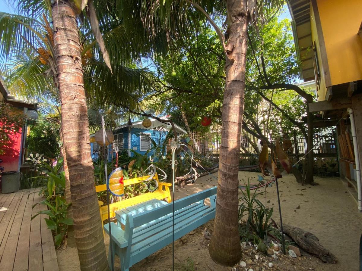 The Funky Dodo Backpackers Hostel Χόπκινς Εξωτερικό φωτογραφία