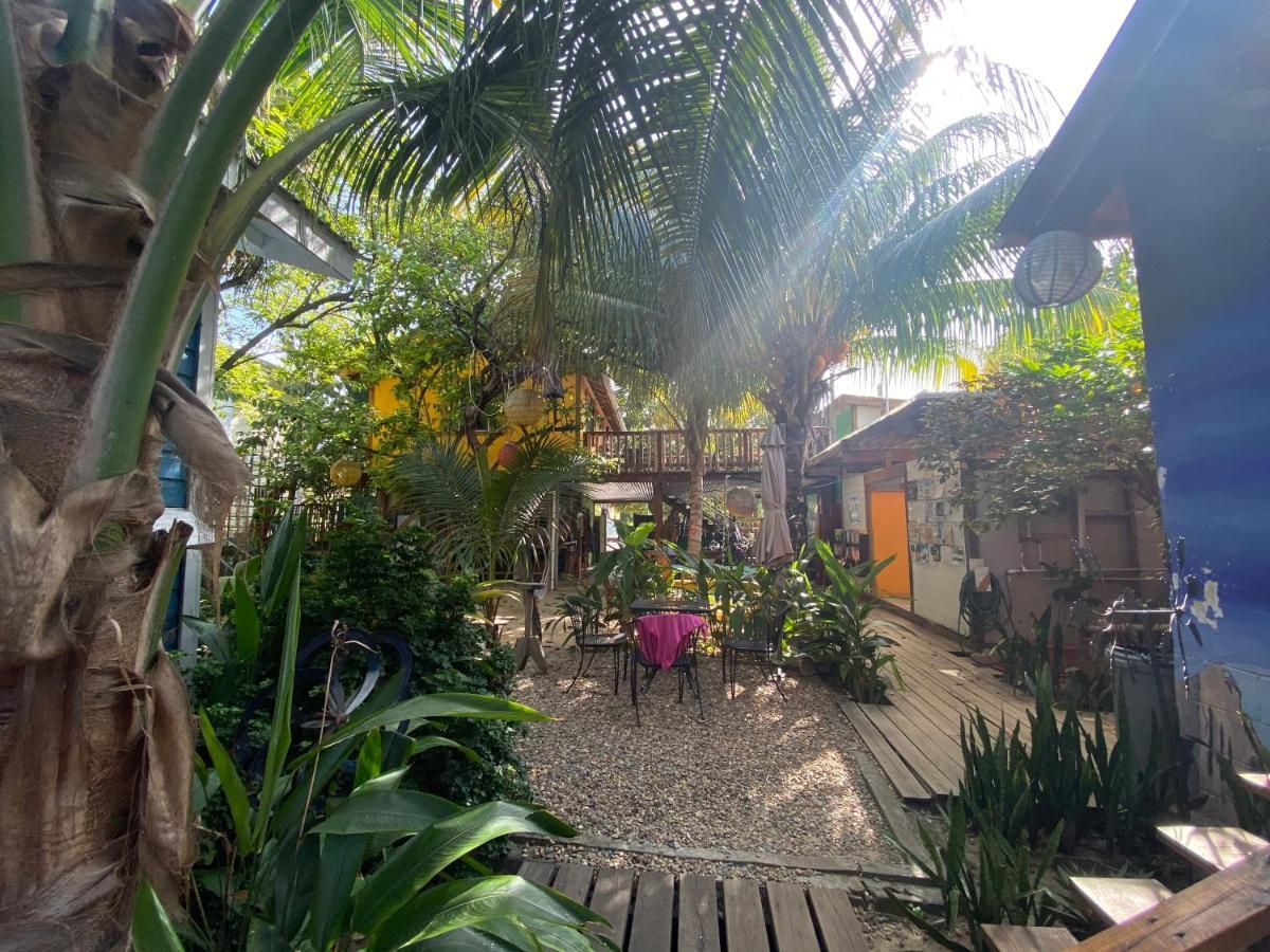 The Funky Dodo Backpackers Hostel Χόπκινς Εξωτερικό φωτογραφία