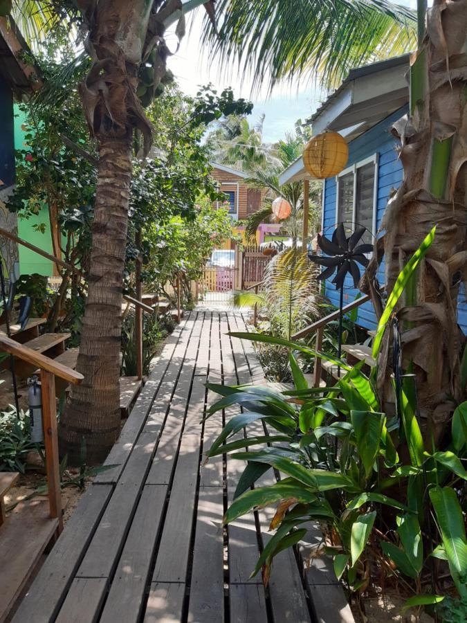The Funky Dodo Backpackers Hostel Χόπκινς Εξωτερικό φωτογραφία